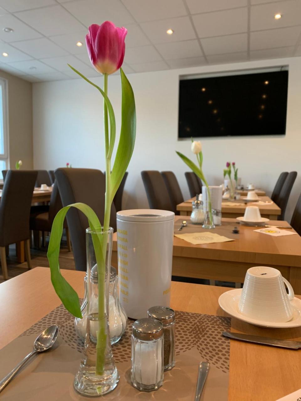 Hotel Bannewitz Bed & Breakfast 3*