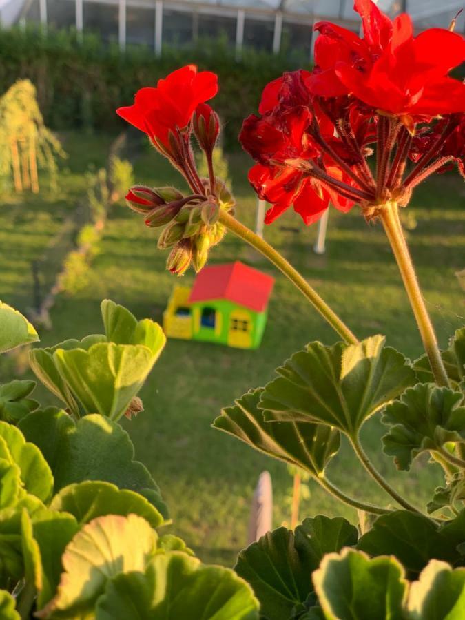 Hotel Bannewitz Bed & Breakfast Bannewitz